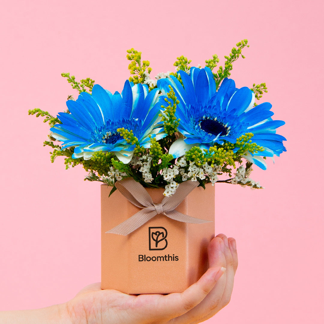 bloomthis-hat-box-francisco-gerbera-mini-flower-box-1080x1080-01_a6bbeb2e-31ee-43d6-8b0f-ccc924779370