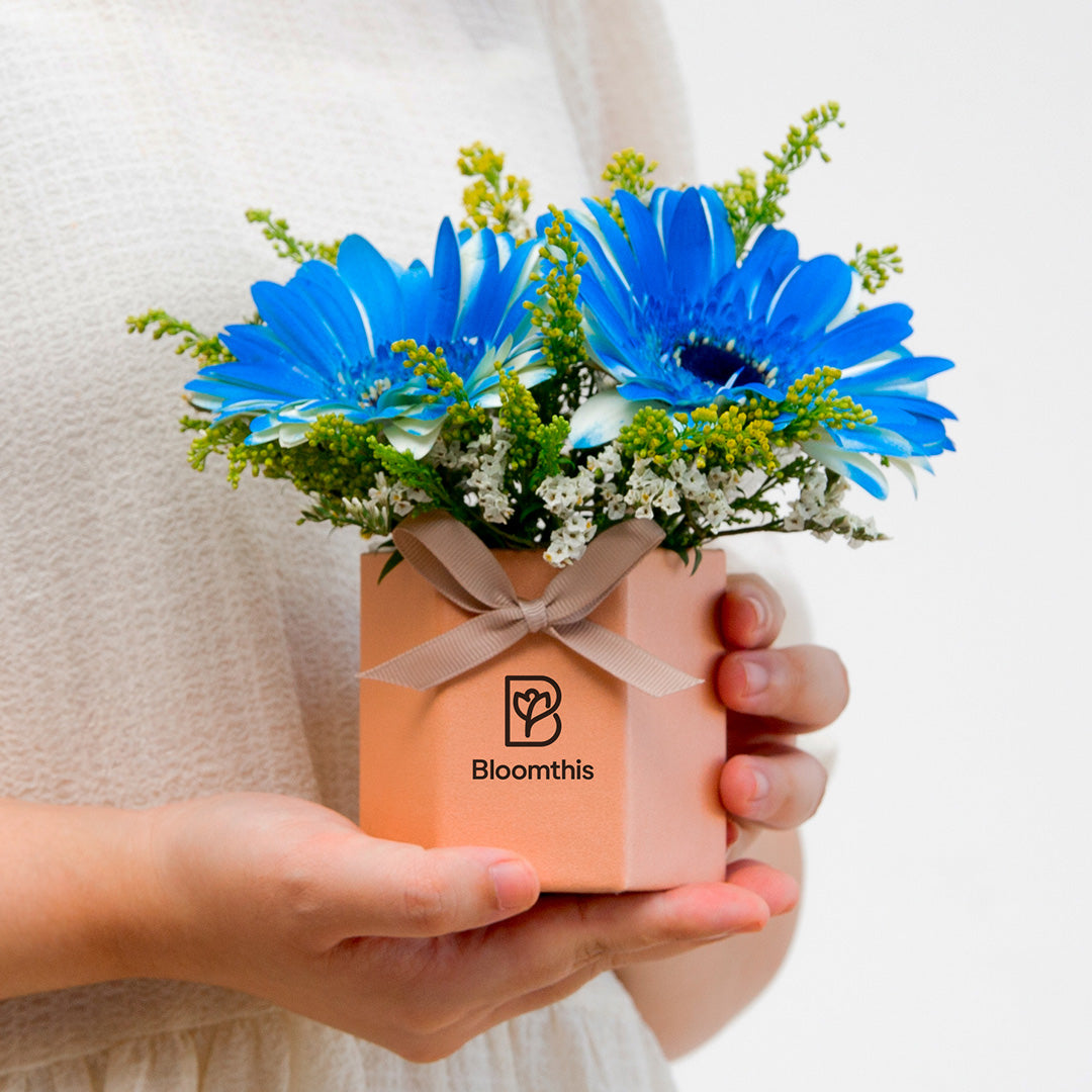 bloomthis-hat-box-francisco-gerbera-mini-flower-box-1080x1080-02_26d24dfe-e4d5-4d8d-82d0-3197a992bb89