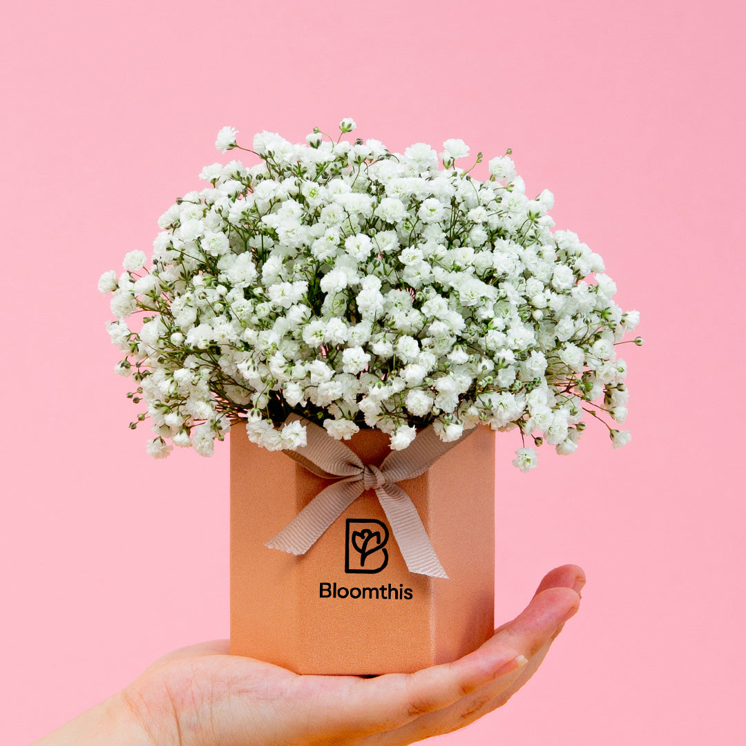 bloomthis-hat-box-joyful-babys-breath-mini-flower-box-1080x1080-01_50c4cf99-4697-4a97-b0a9-bc729a2b6284