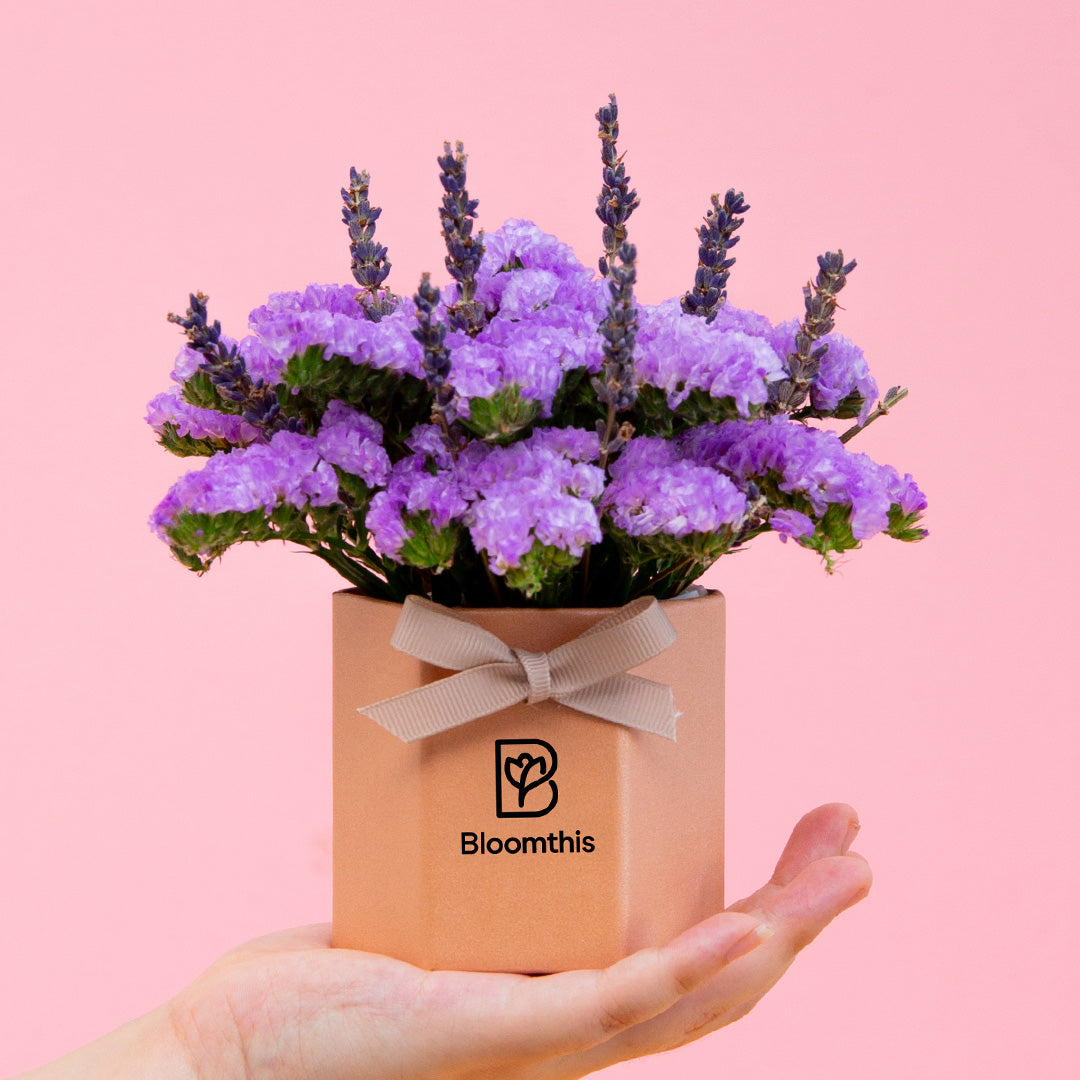 Shamimi Statice Mini Flower Box | Free Delivery | Bloomthis SG
