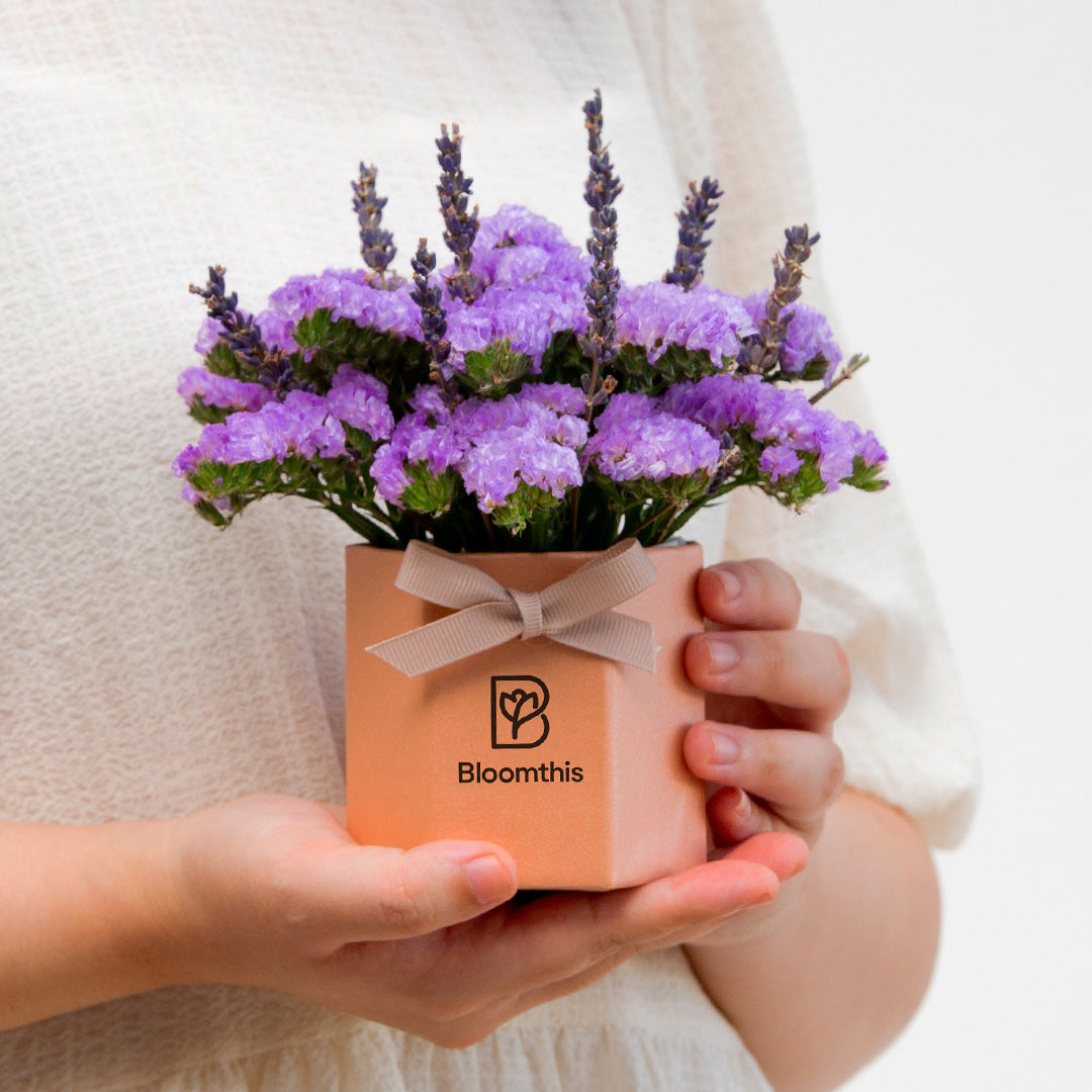bloomthis-hat-box-shamimi-statice-mini-flower-box-1080x1080-02_b4cf8e4e-c4a0-4b96-811e-cd3e5d4311a4