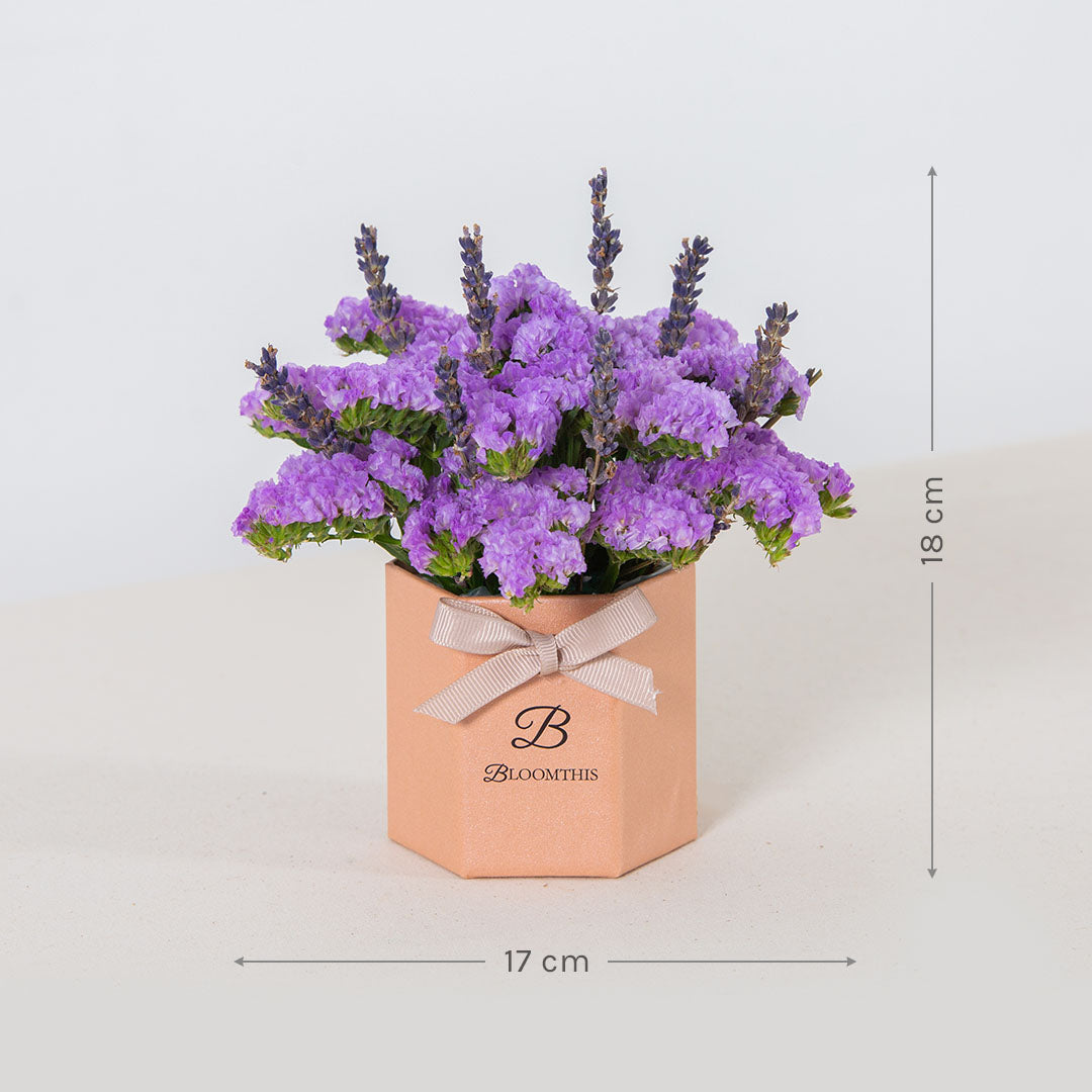 Shamimi Statice Mini Flower Box