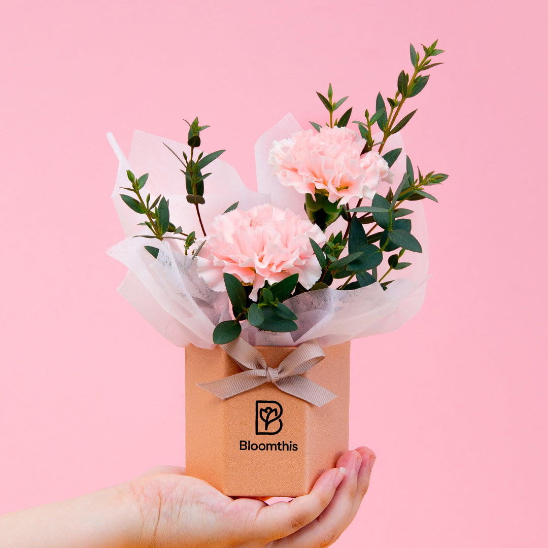 bloomthis-hat-box-waverly-carnation-mini-flower-box-1080x1080-01_3d04fc4f-7cb2-4af6-b64f-ef0de9f2c3d2