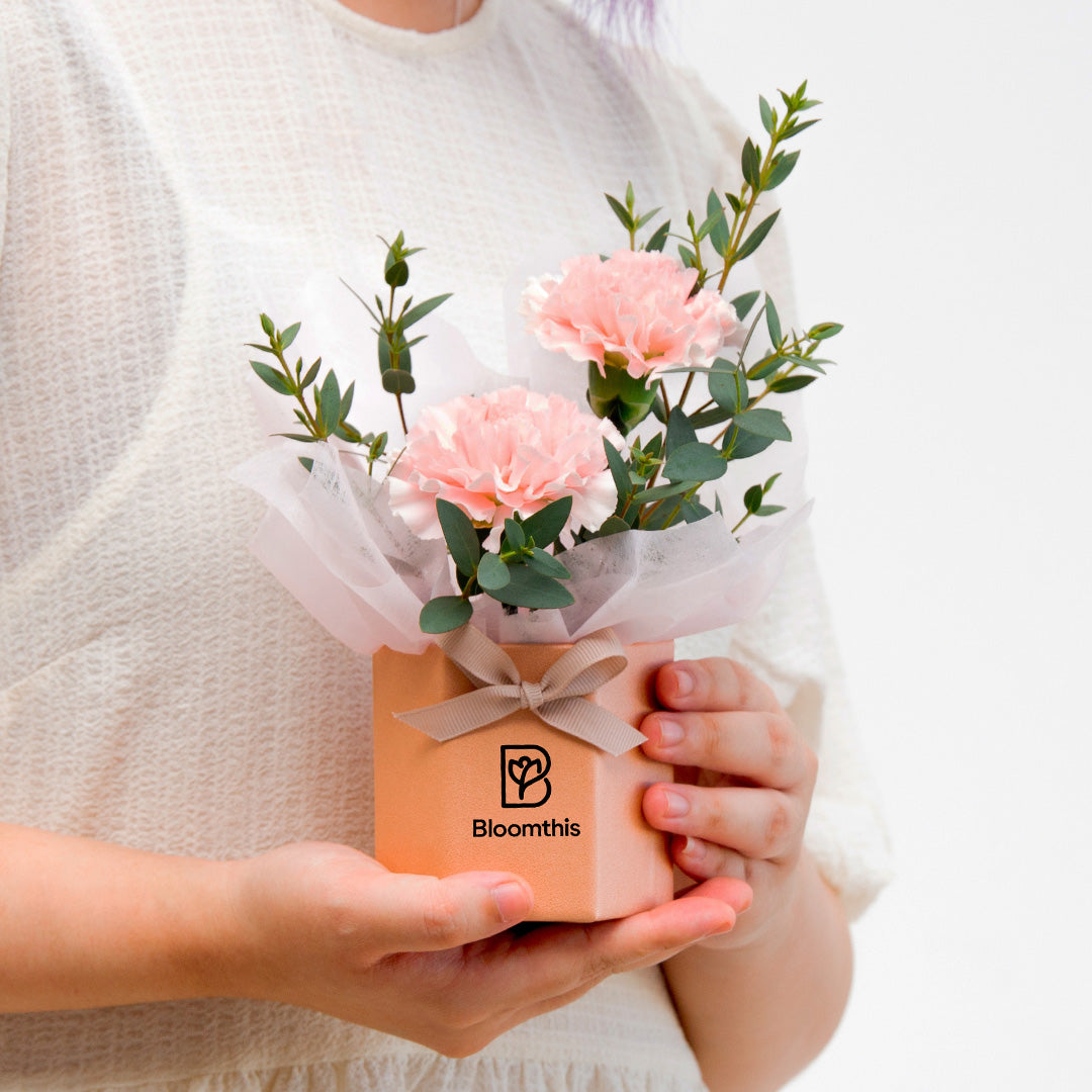 bloomthis-hat-box-waverly-carnation-mini-flower-box-1080x1080-02_5cd9b97a-8076-40ce-adf9-def3c85e766e