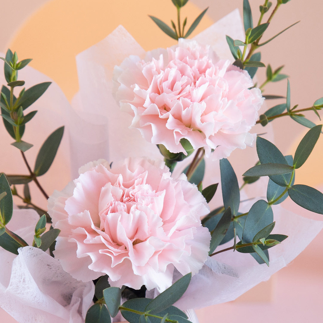 bloomthis-hat-box-waverly-carnation-mini-flower-box-1080x1080-05_628ca6de-fce3-4495-be48-5fef221158fc