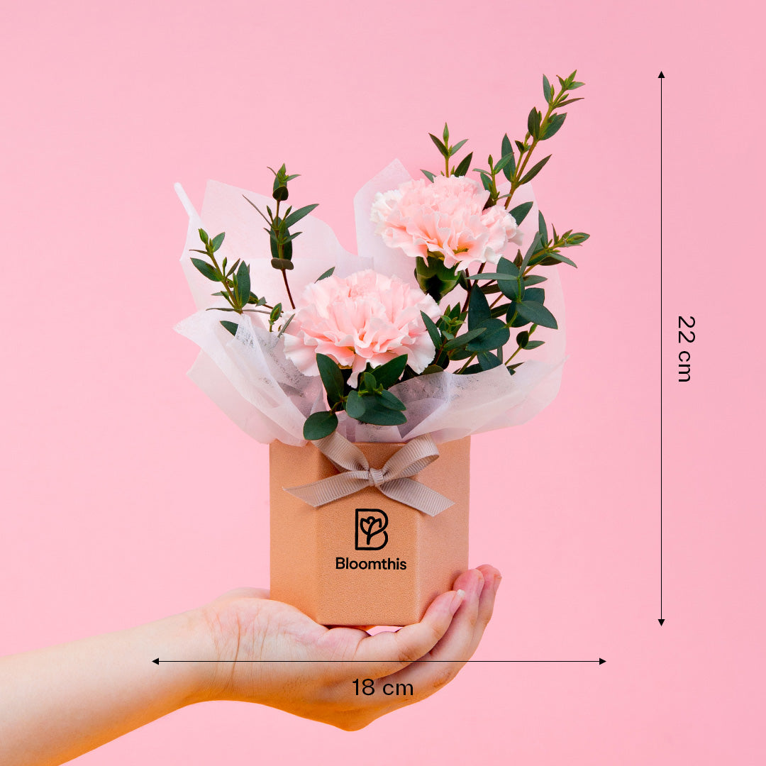 bloomthis-hat-box-waverly-carnation-mini-flower-box-1080x1080-06_99817d4c-7cc4-4d31-a202-e37a61ab0e88
