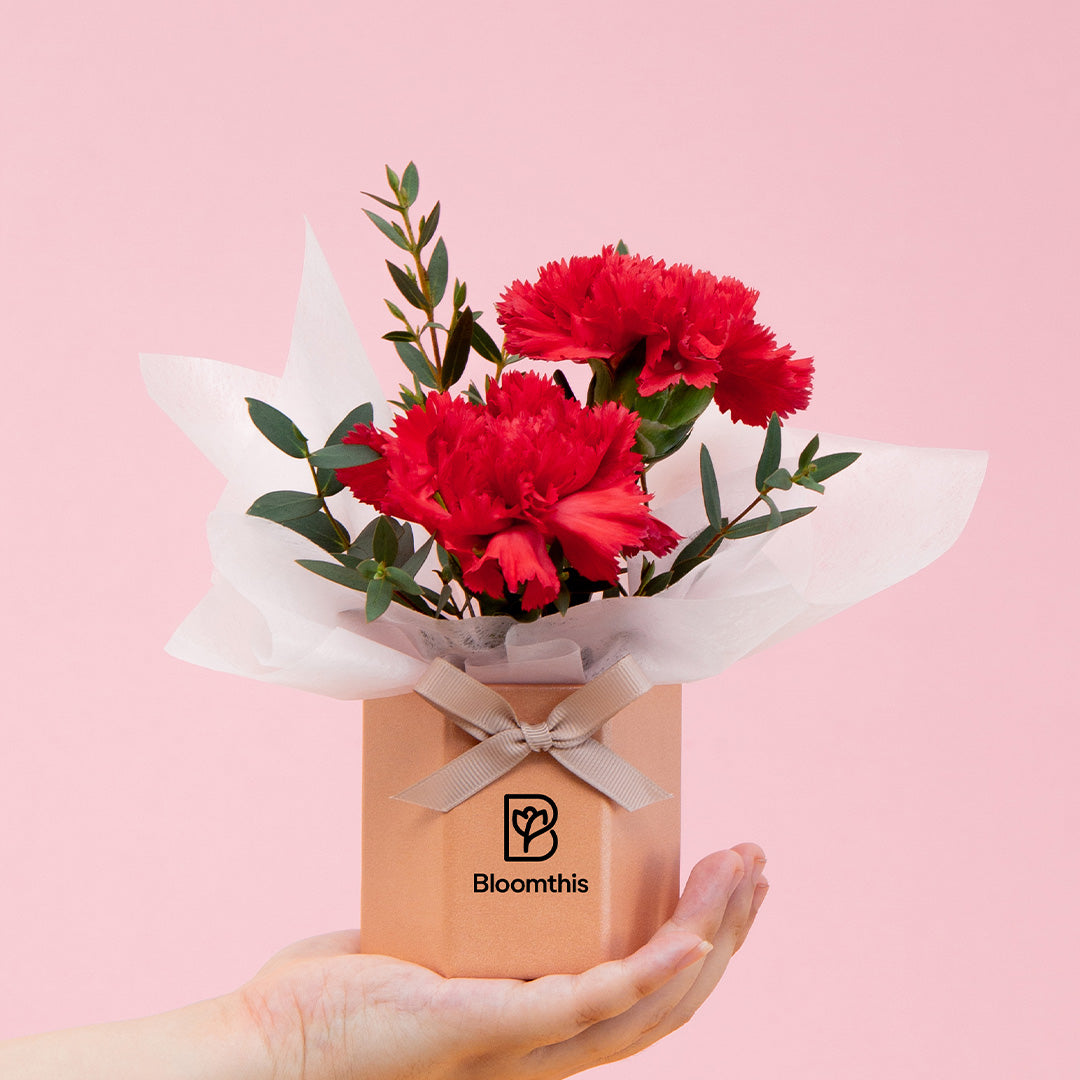 bloomthis-hat-box-wynona-carnation-mini-flower-box-1080x1080-01_51f72865-8a4c-453c-8af9-8ae3538e0015