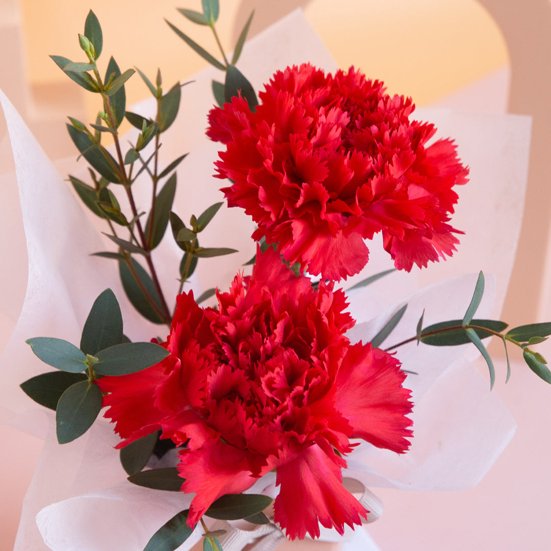 bloomthis-hat-box-wynona-carnation-mini-flower-box-1080x1080-05_4933e0e5-18e5-4f9a-a969-73ea63c19819