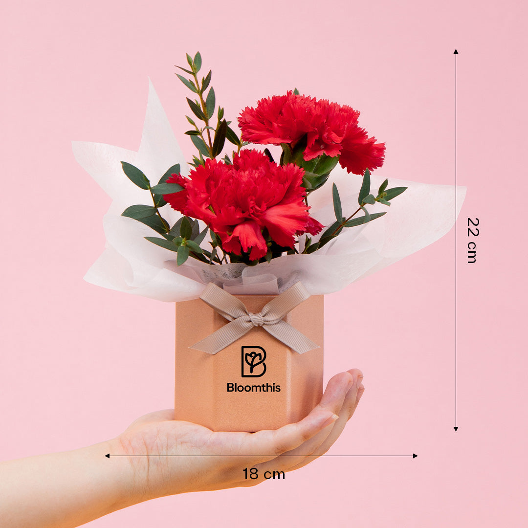 bloomthis-hat-box-wynona-carnation-mini-flower-box-1080x1080-06_22c1125b-efee-458b-b46f-9ee716435407