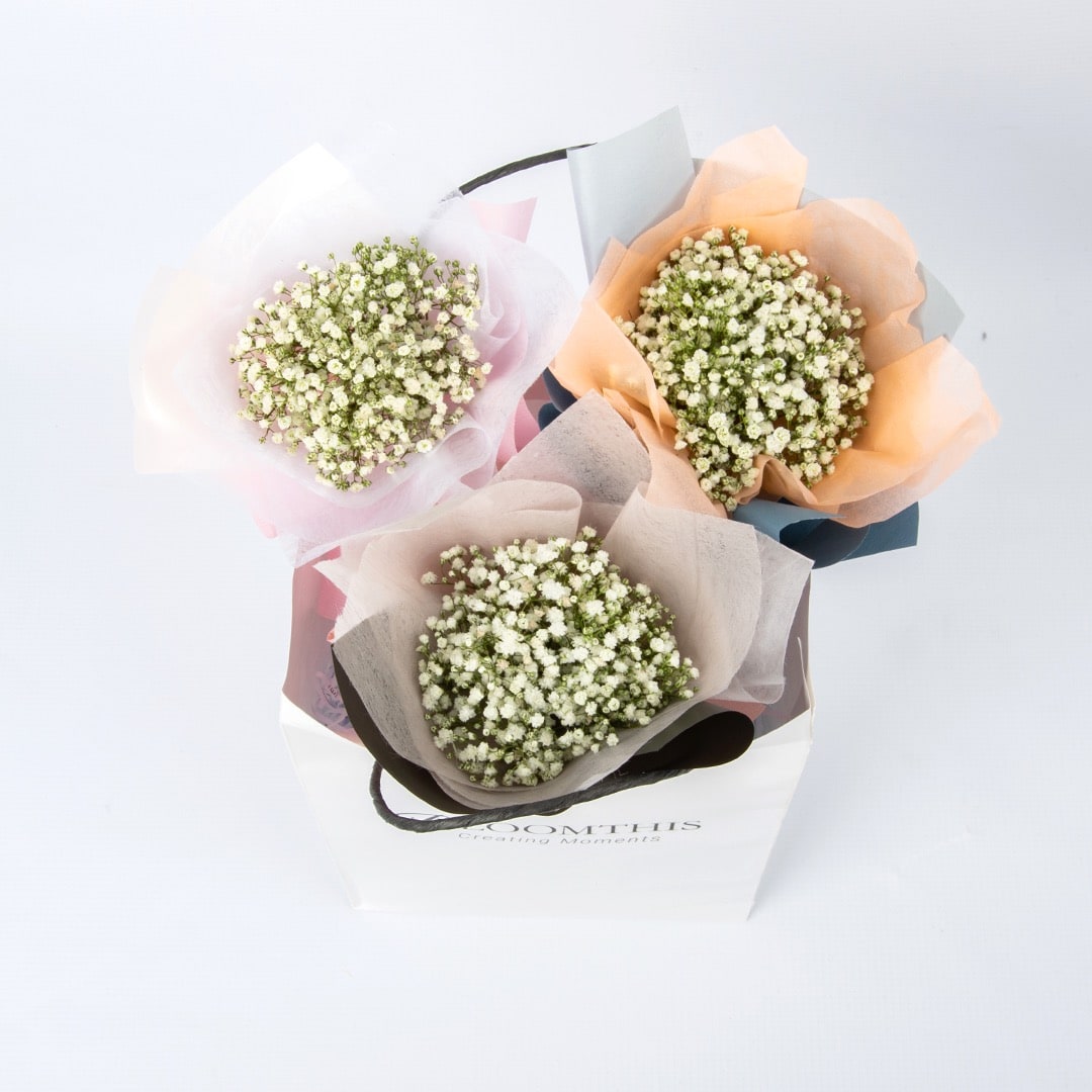 Harlow Baby's Breath Mini Bouquet Set (3 pcs)