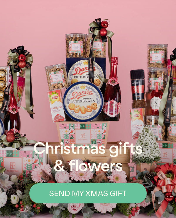 bloomthis-xms25-collection-card