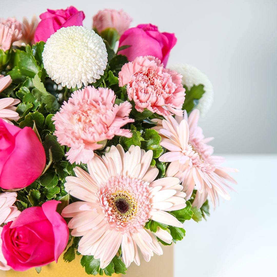 Marilyn Gerbera & Rose Flower Box (MD)