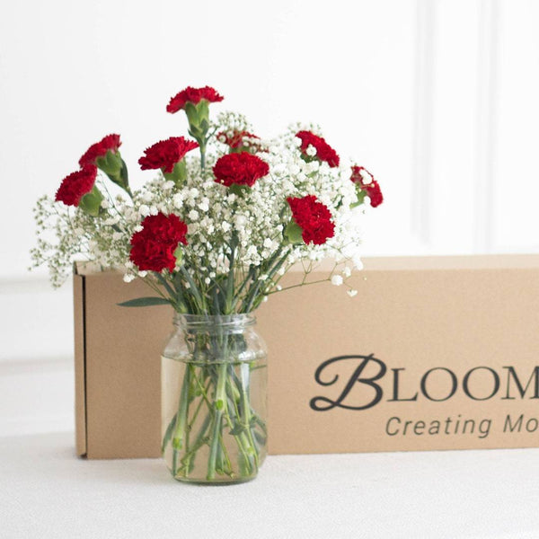 Agnes Red Carnation Flower Long Box (MD)