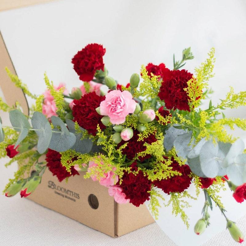 Sabrina Red Carnation Flower Long Box (MD)